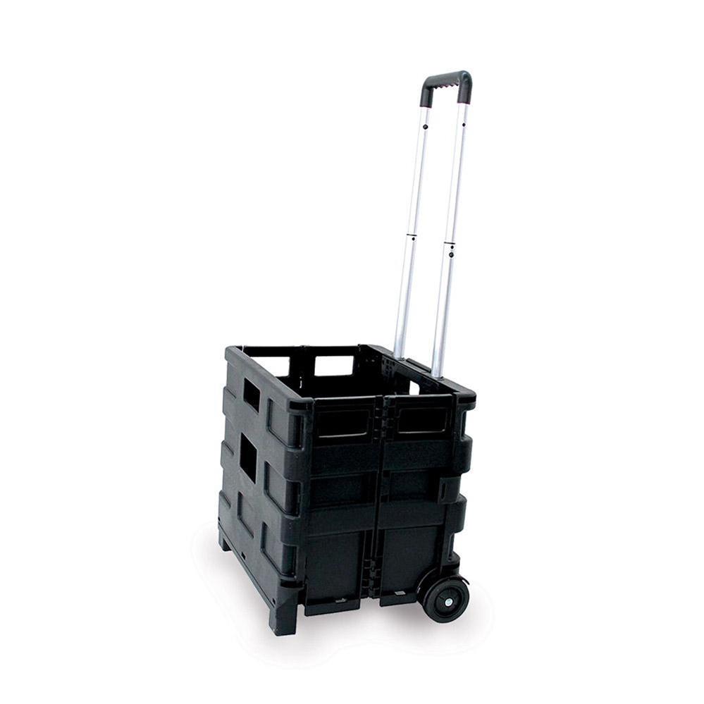 Carrello trasporto con cassa pieghevole portata max 25 kg