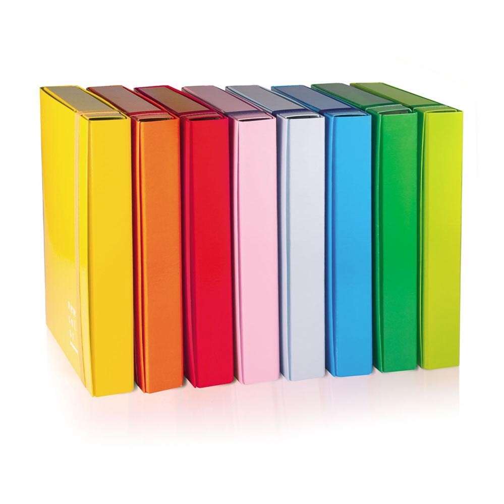 BREFIOCART Cartella Progetti con elastico dorso 3 cm, Colori assortiti