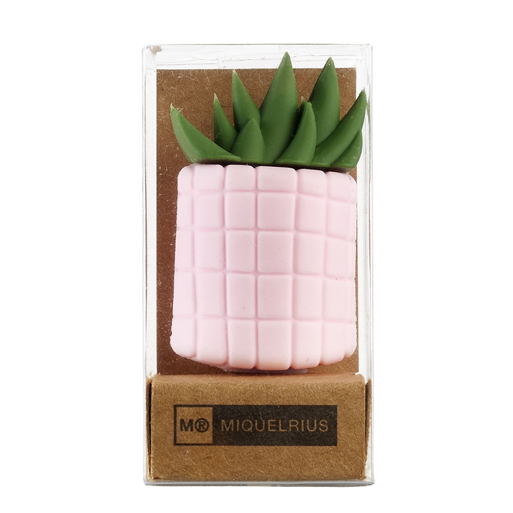 Miquelrius Display da banco foodie lovers collection, 41 pezzi