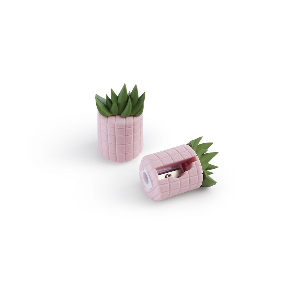 Miquelrius Display da banco foodie lovers collection, 41 pezzi