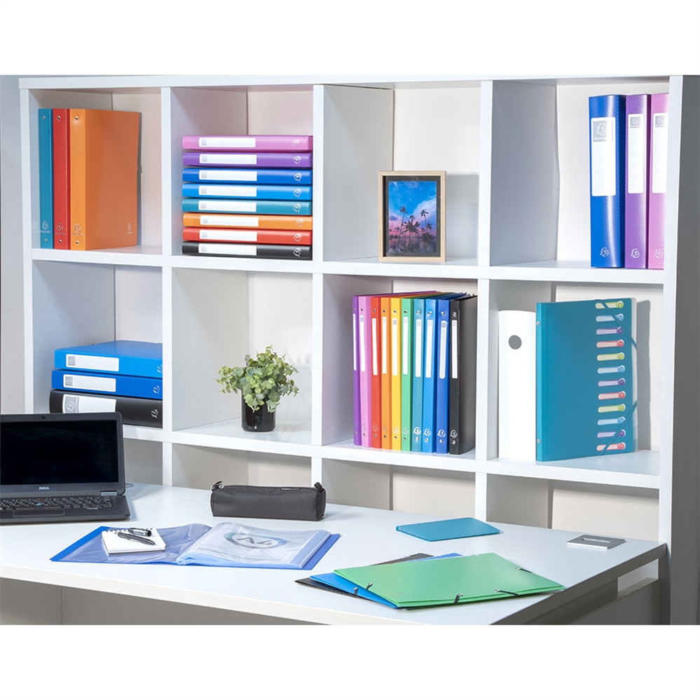 Exacompta Portalistini OPAK A4 PPL, 100 buste, colori assortiti