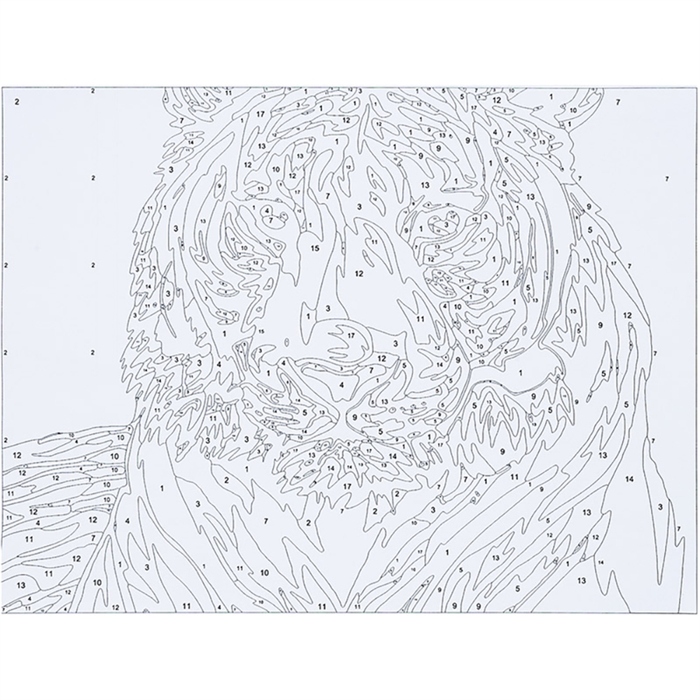 CENTRUM Tela paint by numbers, fantasia Tigre, 30x40cm