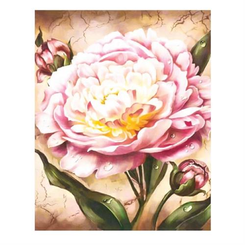 CENTRUM Mosaico Diamanti+Pittura con numeri PEONIA, 40X50cm