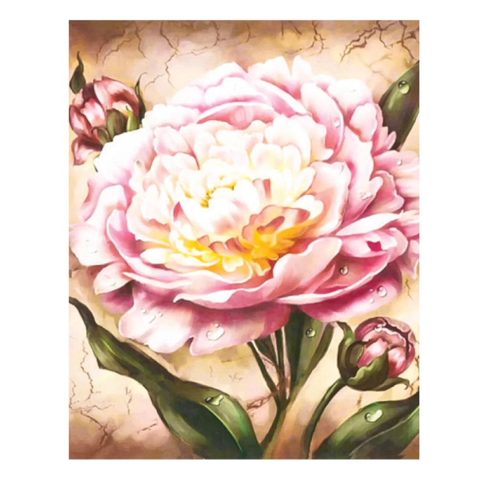 CENTRUM Mosaico Diamanti+Pittura con numeri PEONIA, 40X50cm