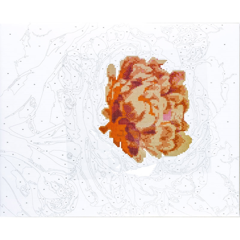 CENTRUM Mosaico Diamanti+Pittura con numeri PEONIA, 40X50cm