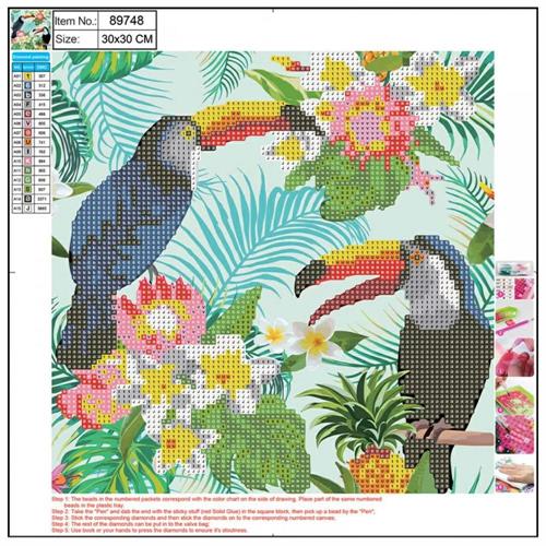 CENTRUM Mosaico Diamanti TUCANI su tela 5D con numeri, 30x30cm