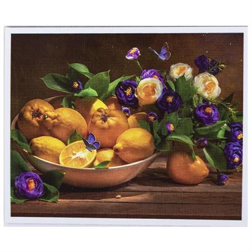 CENTRUM Tela dipinto con numeri,Natura morta, colori acrilici,40x50cm