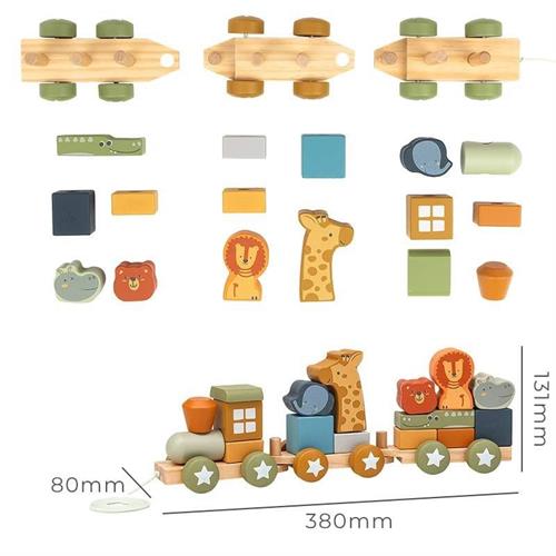 Colorosa Toy Arca di Noè in legno 18pz 24m+