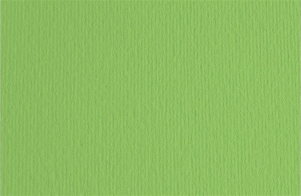 Fabriano Elle Erre Cartoncino 70x100 cm, 220 gr, verde pisello, 10 fogli