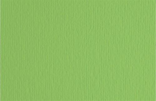 Fabriano Elle Erre Cartoncino 70x100 cm, 220 gr, verde pisello, 10 fogli