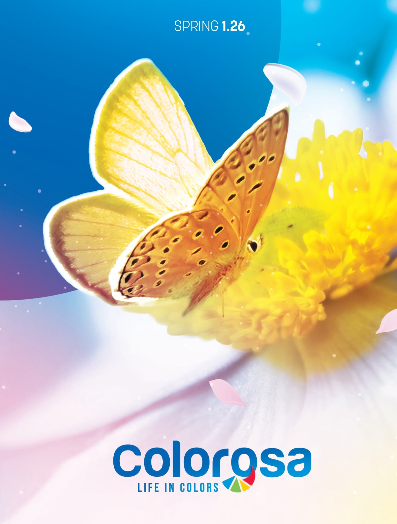 copertina-colorosa-spring